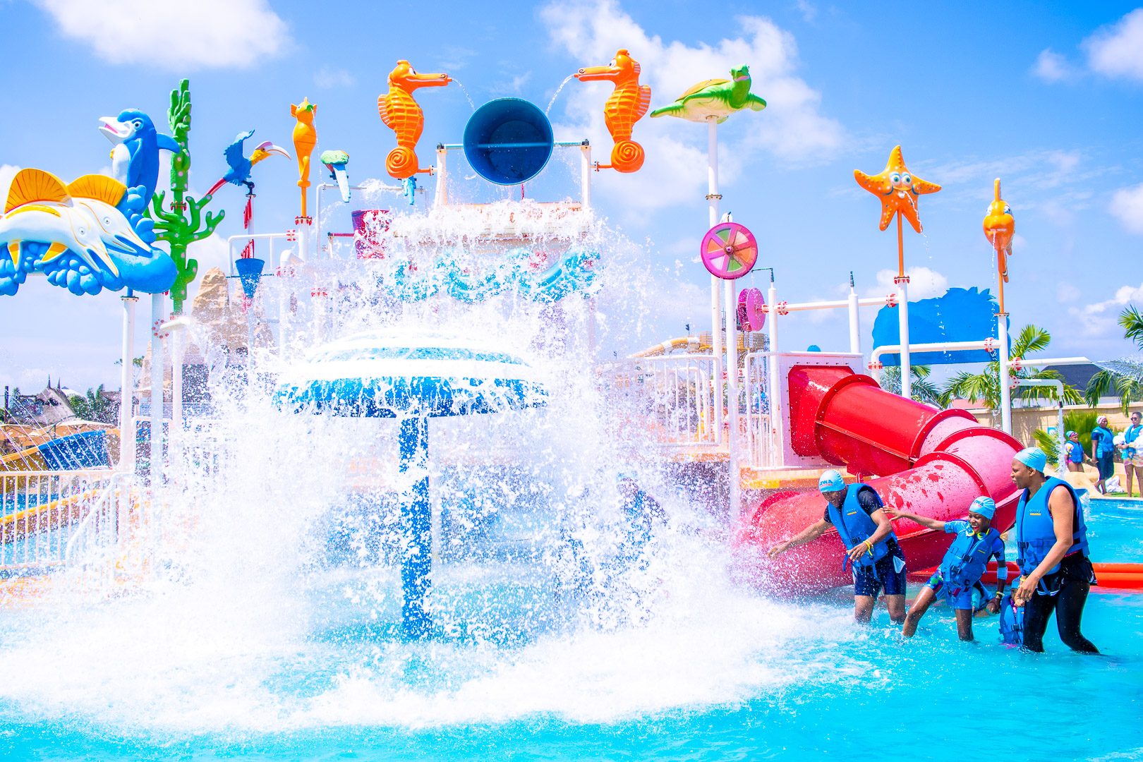 Explore the water house